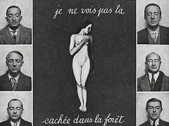 I do not see the (Woman) Hidden in the Forest by Man Ray